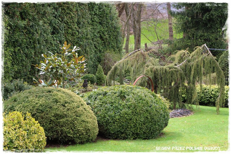 rustykalne siedlisko z kolekcja roslin 47 rustykalne siedlisko z kolekcja roslin 47