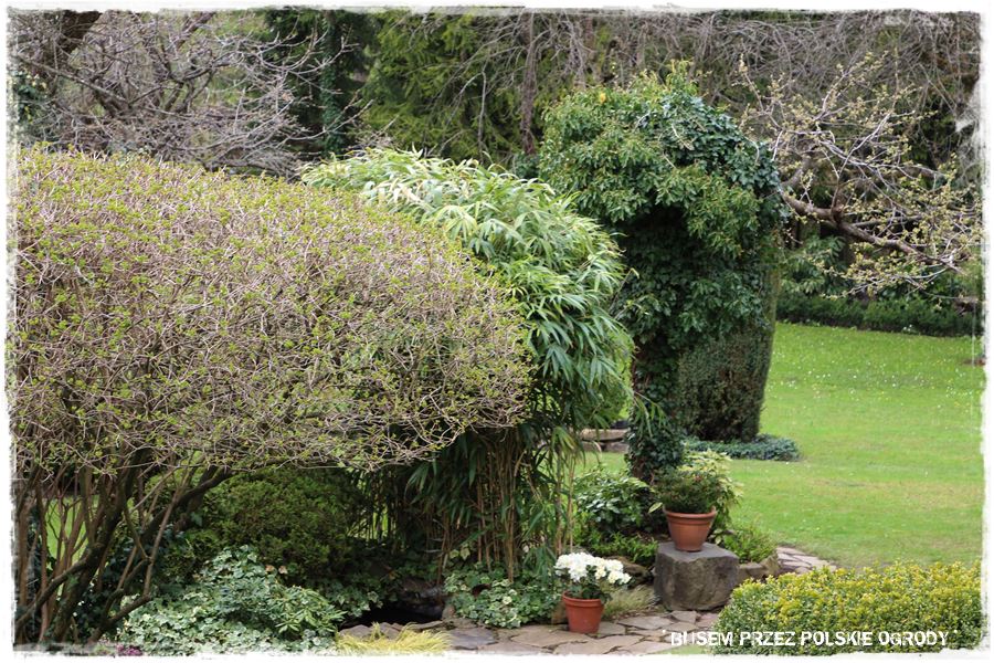 rustykalne siedlisko z kolekcja roslin 48 rustykalne siedlisko z kolekcja roslin 48