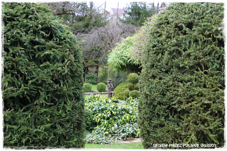 rustykalne siedlisko z kolekcja roslin 49 rustykalne siedlisko z kolekcja roslin 49