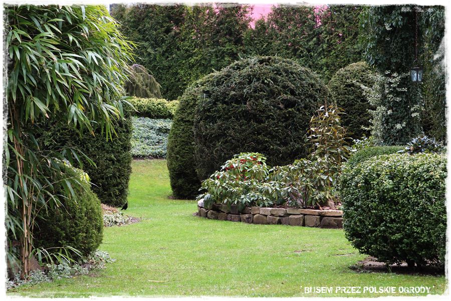 rustykalne siedlisko z kolekcja roslin 50 rustykalne siedlisko z kolekcja roslin 50