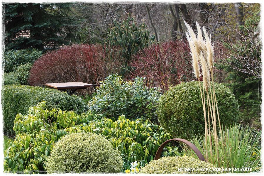 rustykalne siedlisko z kolekcja roslin 51 rustykalne siedlisko z kolekcja roslin 51