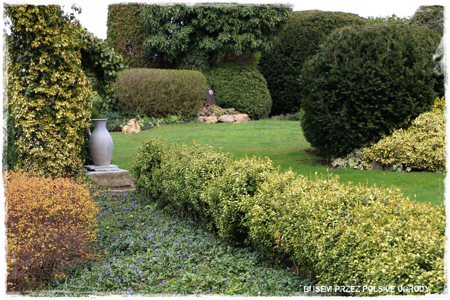 rustykalne siedlisko z kolekcja roslin 52 rustykalne siedlisko z kolekcja roslin 52