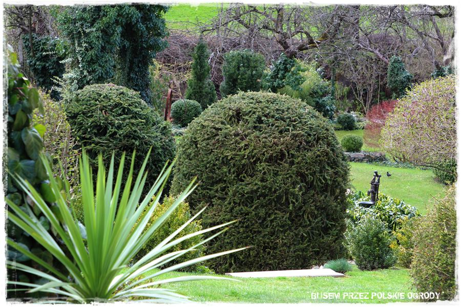 rustykalne siedlisko z kolekcja roslin 53 rustykalne siedlisko z kolekcja roslin 53