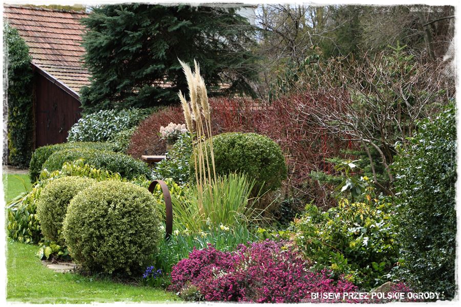 rustykalne siedlisko z kolekcja roslin 54 rustykalne siedlisko z kolekcja roslin 54