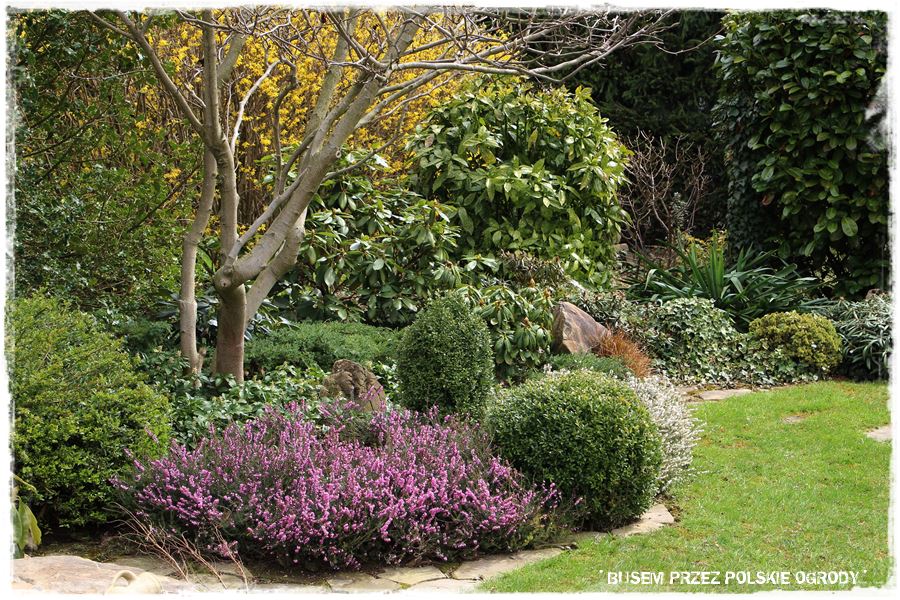 rustykalne siedlisko z kolekcja roslin 56 rustykalne siedlisko z kolekcja roslin 56