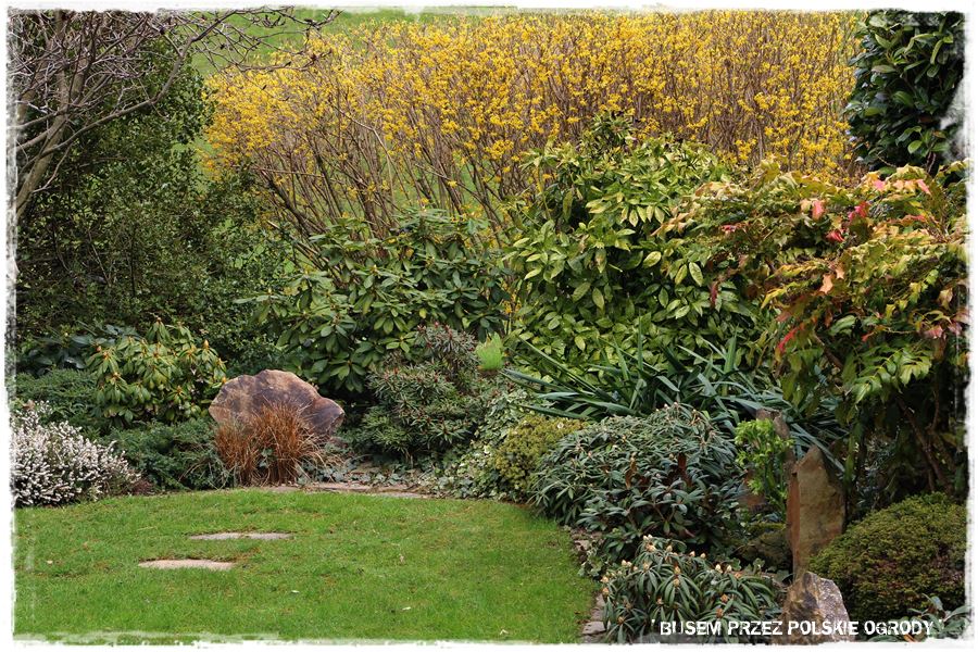 rustykalne siedlisko z kolekcja roslin 57 rustykalne siedlisko z kolekcja roslin 57