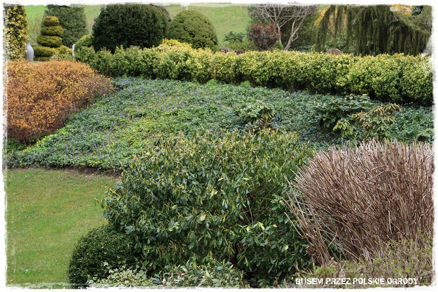 rustykalne siedlisko z kolekcja roslin 58 rustykalne siedlisko z kolekcja roslin 58