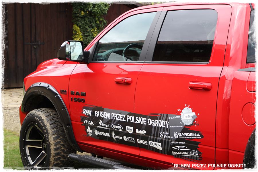 rustykalne siedlisko z kolekcją roślin 60 rustykalne siedlisko z kolekcją roślin 60