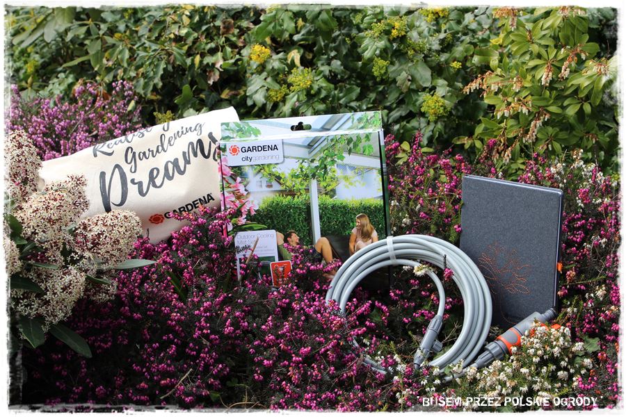 rustykalne siedlisko z kolekcja roslin 61 rustykalne siedlisko z kolekcja roslin 61