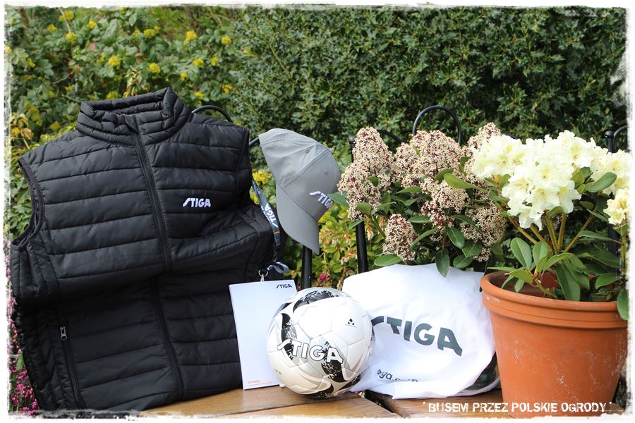 rustykalne siedlisko z kolekcja roslin 62 rustykalne siedlisko z kolekcja roslin 62