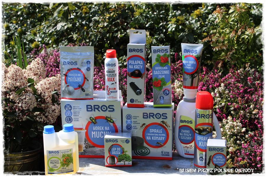 rustykalne siedlisko z kolekcja roslin 63 rustykalne siedlisko z kolekcja roslin 63