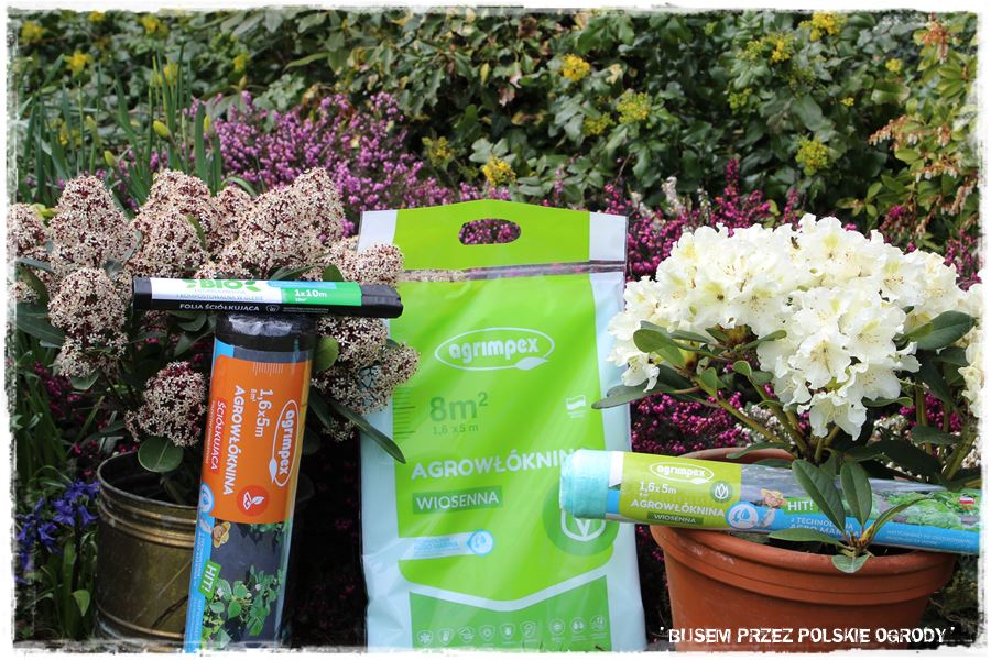 rustykalne siedlisko z kolekcja roslin 64 rustykalne siedlisko z kolekcja roslin 64