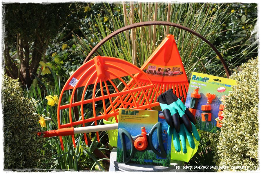 rustykalne siedlisko z kolekcja roslin 67 rustykalne siedlisko z kolekcja roslin 67