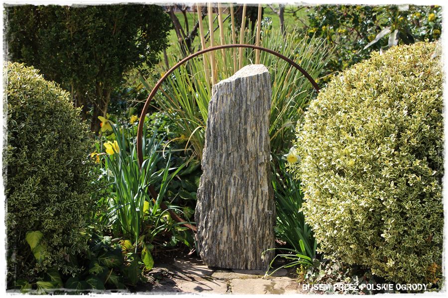 rustykalne siedlisko z kolekcja roslin 68 rustykalne siedlisko z kolekcja roslin 68