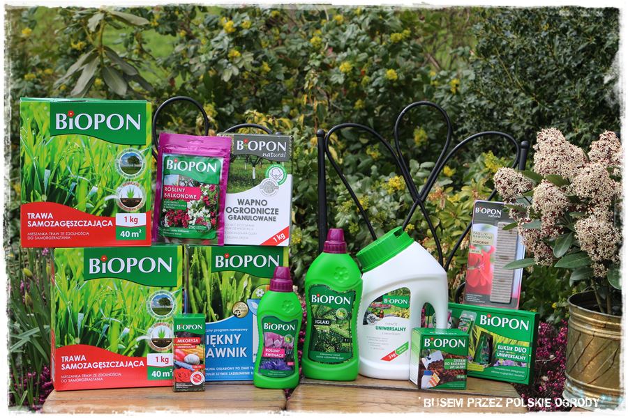 rustykalne siedlisko z kolekcja roslin 71 rustykalne siedlisko z kolekcja roslin 71