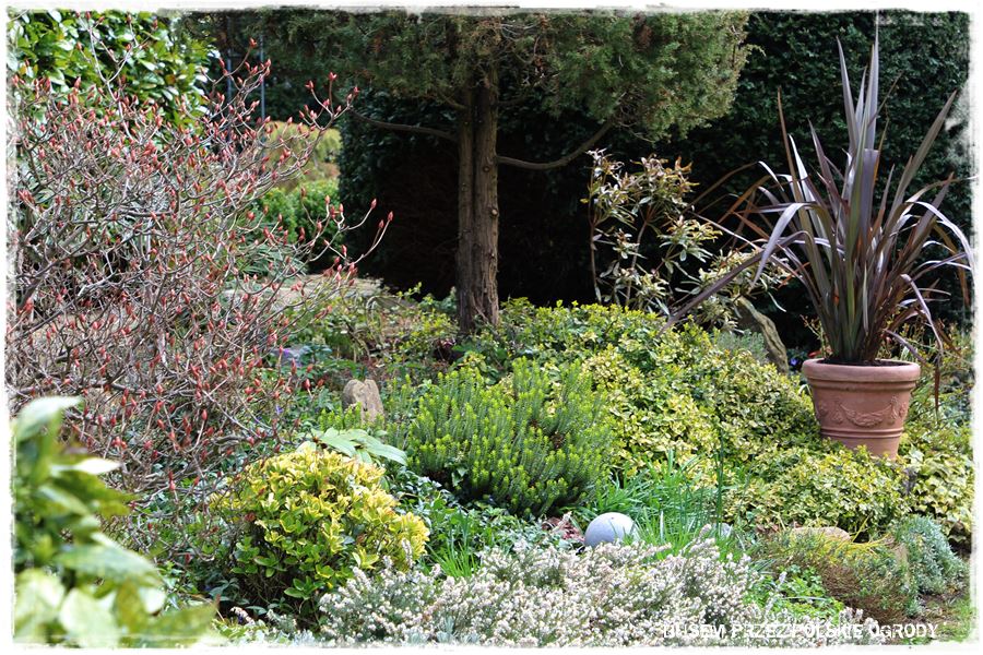 rustykalne siedlisko z kolekcja roslin 73 rustykalne siedlisko z kolekcja roslin 73