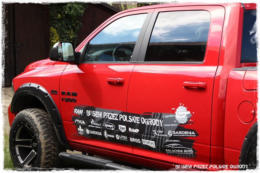 rustykalne siedlisko z kolekcja roslin 8 rustykalne siedlisko z kolekcja roslin 8