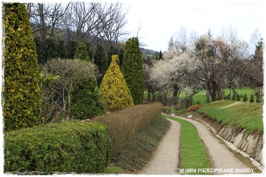 rustykalne siedlisko z kolekcja roslin 9 rustykalne siedlisko z kolekcja roslin 9