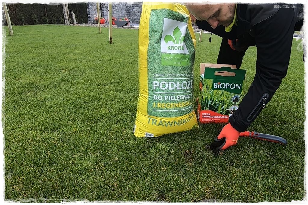 ubytki w trawniku 10 ubytki w trawniku 10