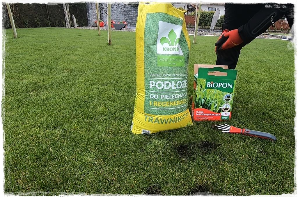 ubytki w trawniku 11 ubytki w trawniku 11