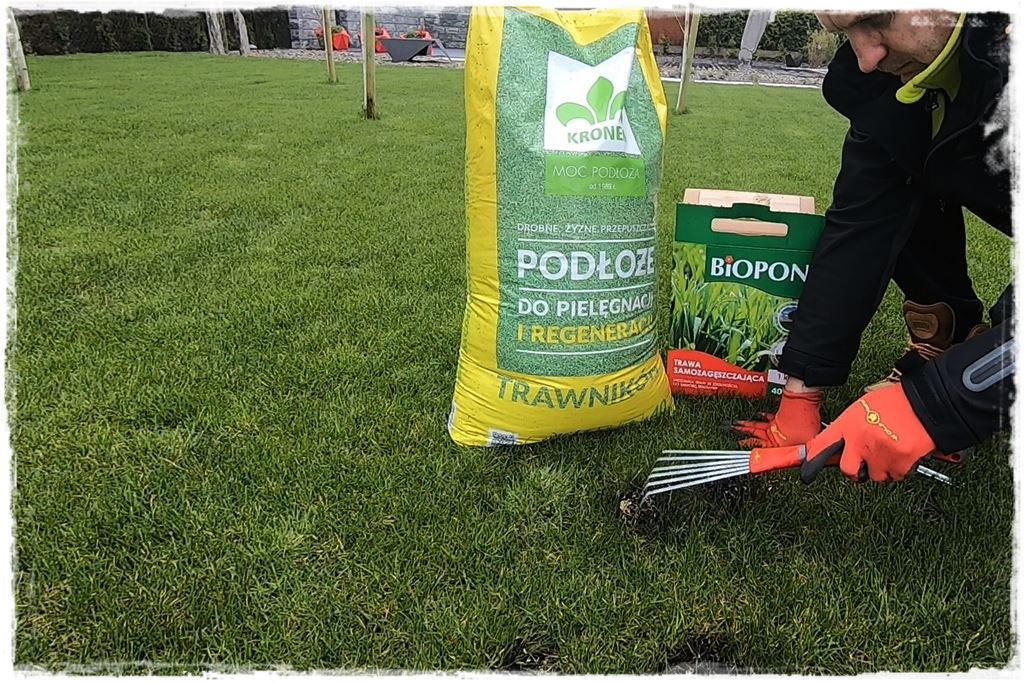 ubytki w trawniku 13 ubytki w trawniku 13