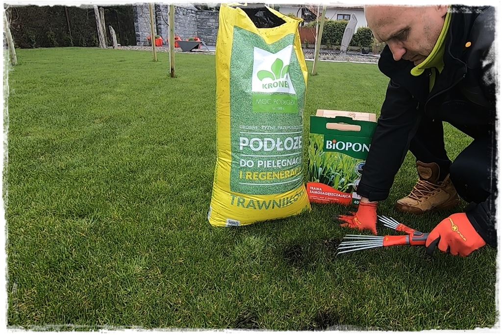 ubytki w trawniku 14 ubytki w trawniku 14