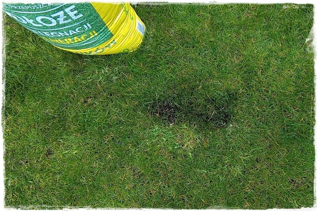 ubytki w trawniku 15 ubytki w trawniku 15