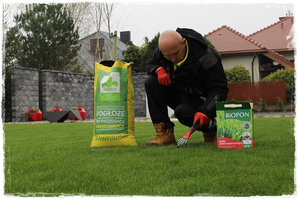 ubytki w trawniku 3 ubytki w trawniku 3