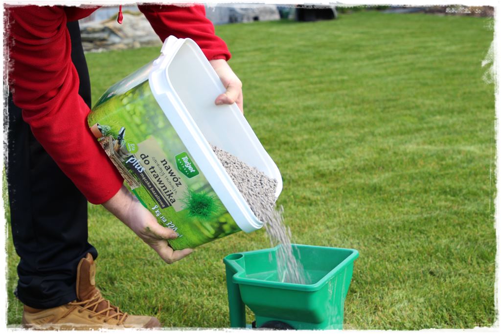 ubytki w trawniku 4 ubytki w trawniku 4