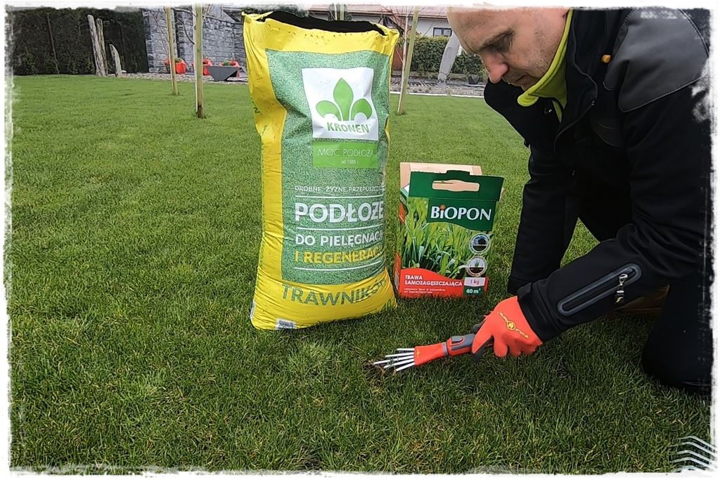 ubytki w trawniku 9 ubytki w trawniku 9