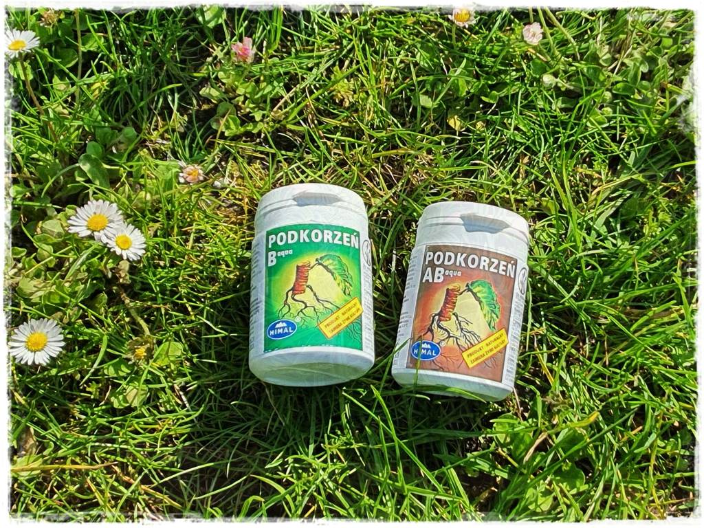 Jak rozmnożyć róże 6