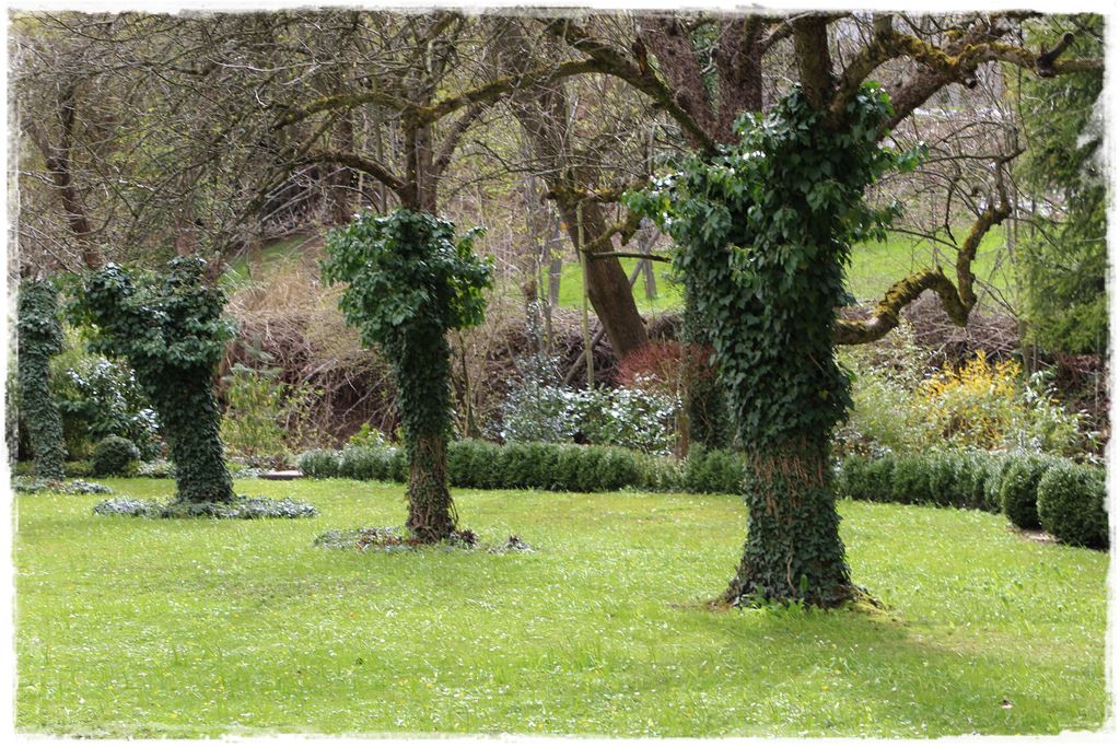 Narzędzia sadownicze 2a