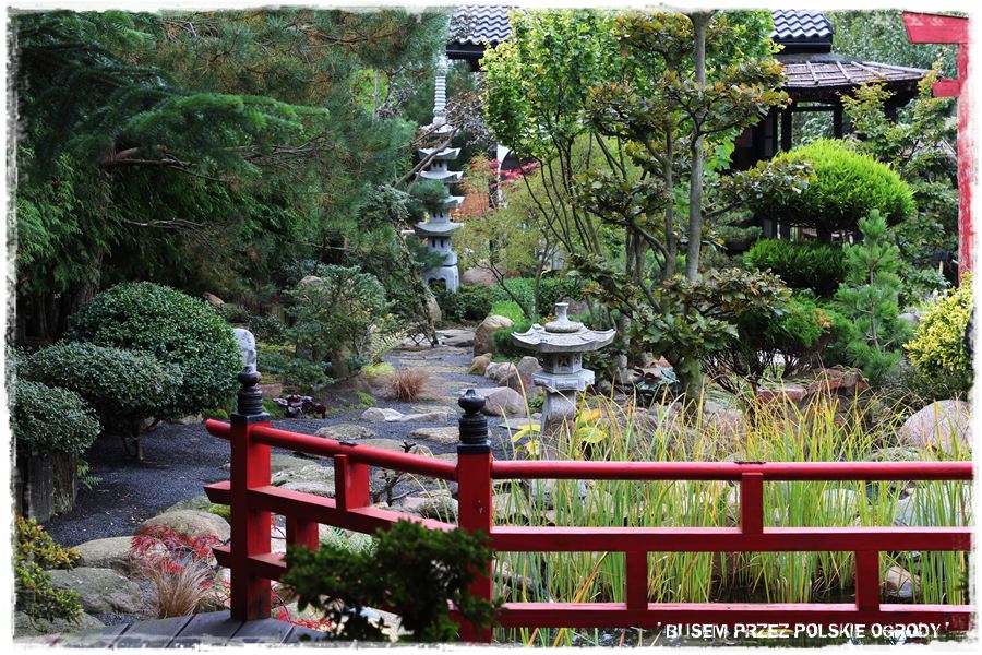 Ogród japoński 1 Ogród japoński 1