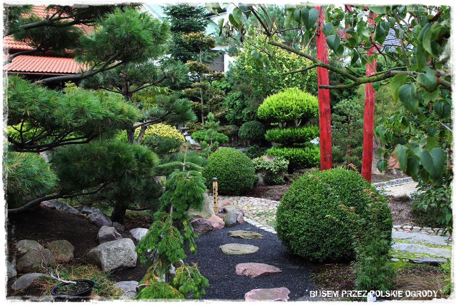 Ogród japoński 11 Ogród japoński 11