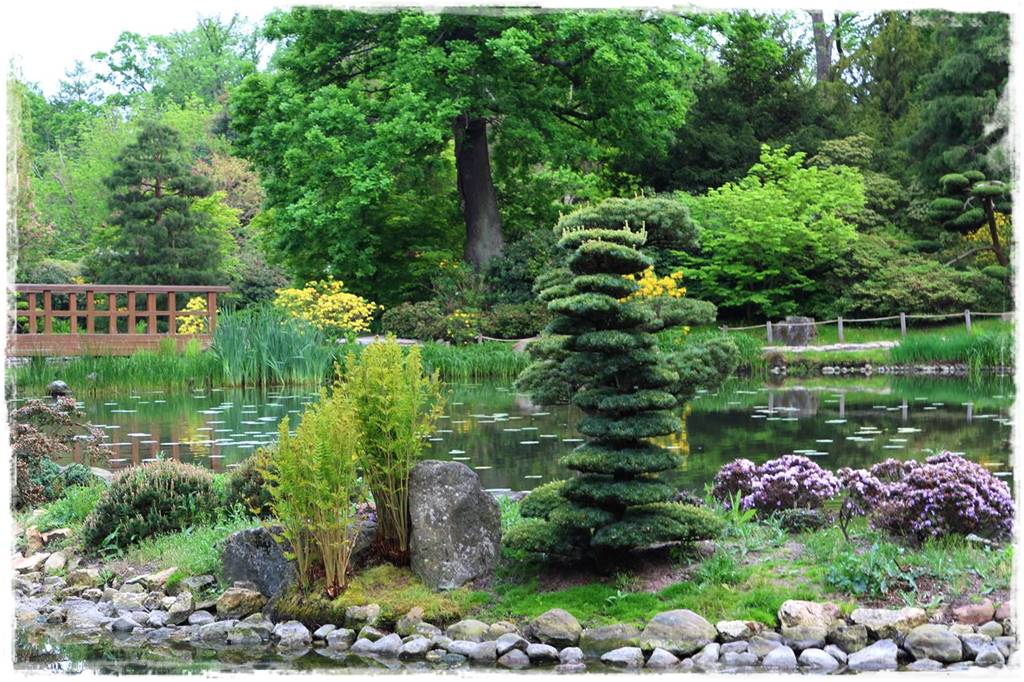 Ogród japoński 13 Ogród japoński 13