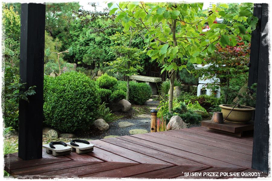 Ogród japoński 20