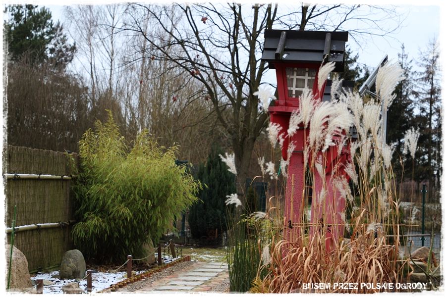 Ogród japoński 28