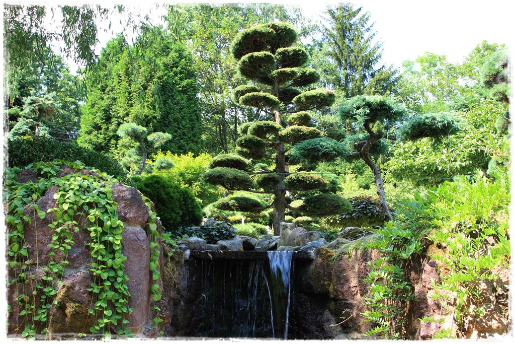 Ogród japoński 3