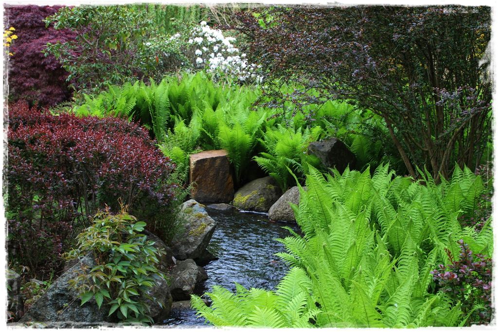 Ogród japoński 30