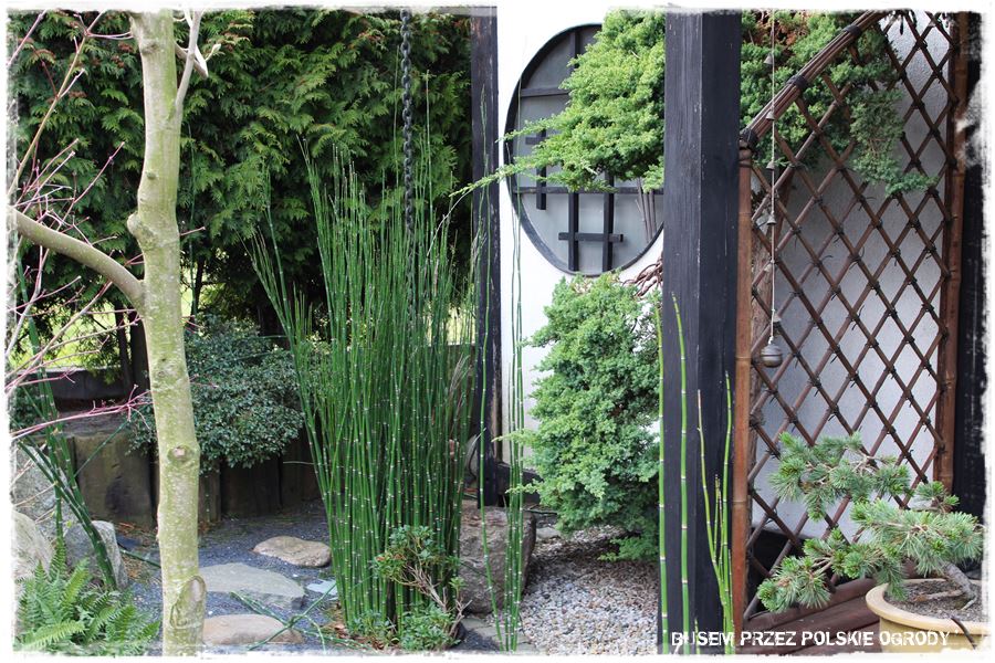 Ogród japoński 34 Ogród japoński 34