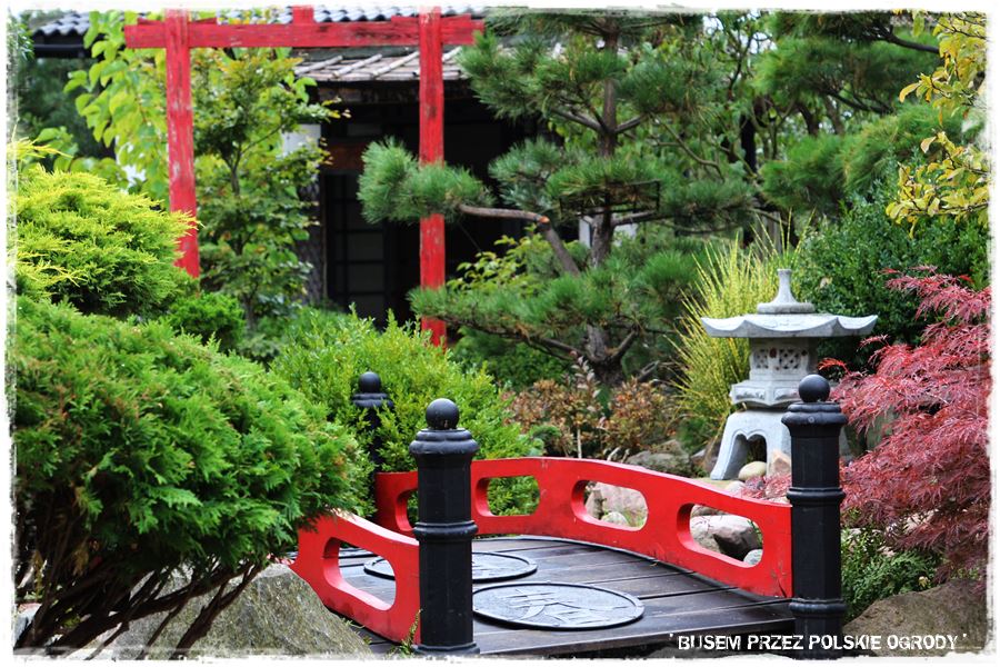 Ogród japoński 37 Ogród japoński 37