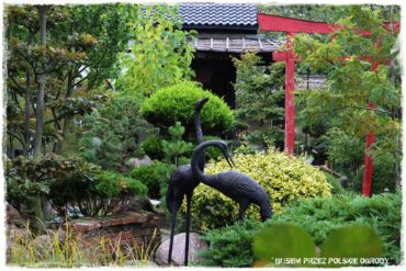 Ogród japoński
