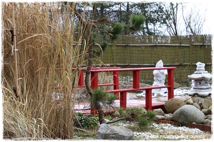 Ogród japoński 38 Ogród japoński 38