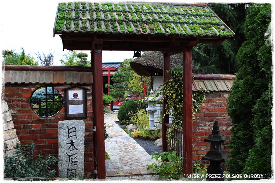 Ogród japoński 40 Ogród japoński 40