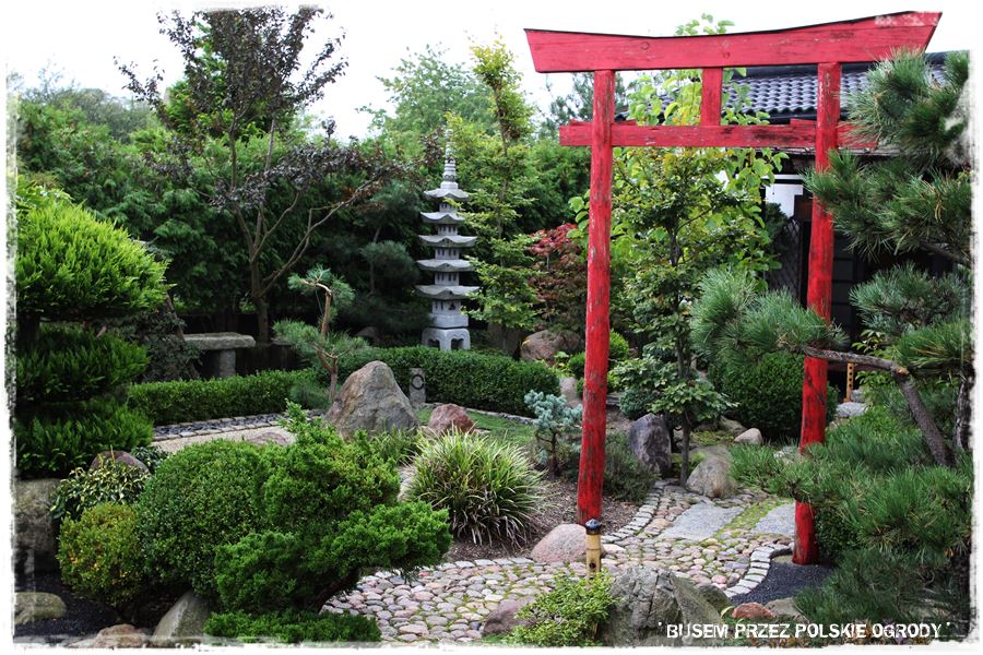 Ogród japoński 41 Ogród japoński 41