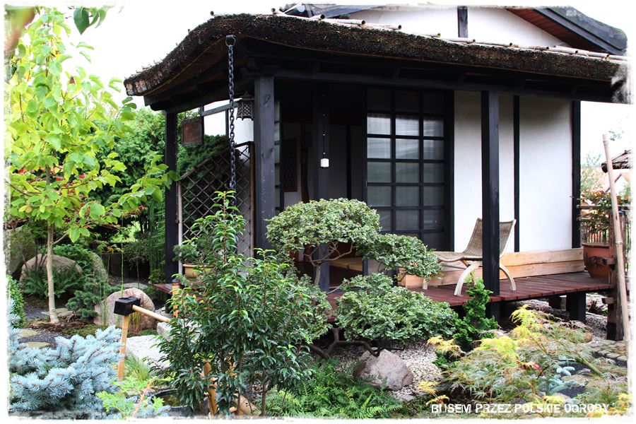 Ogród japoński 42 Ogród japoński 42