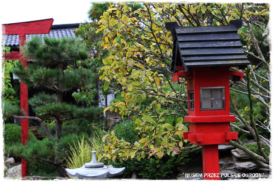Ogród japoński 45 Ogród japoński 45