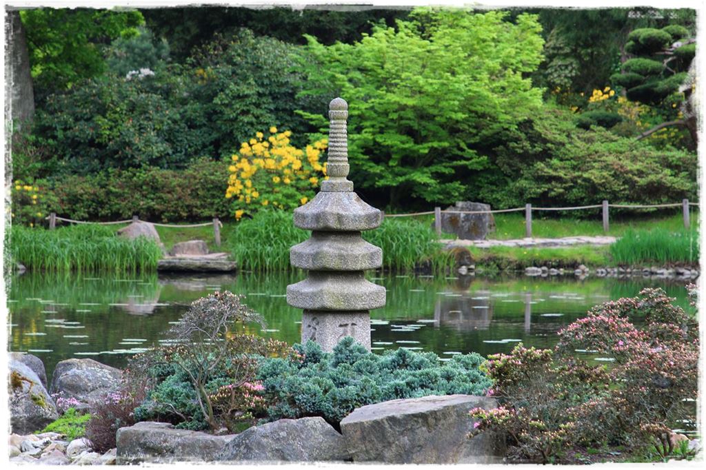 Ogród japoński 53 Ogród japoński 53