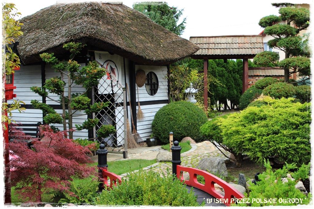 Ogród japoński 64