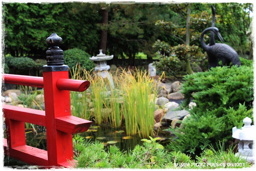 Ogród japoński 7 Ogród japoński 7